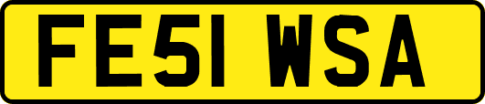 FE51WSA