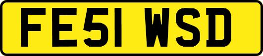 FE51WSD