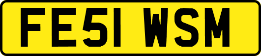 FE51WSM