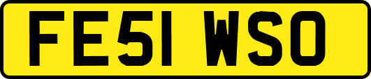 FE51WSO