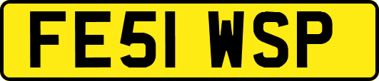 FE51WSP