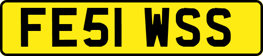 FE51WSS