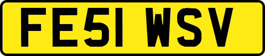FE51WSV