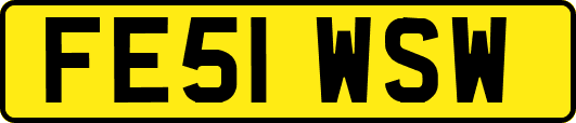 FE51WSW