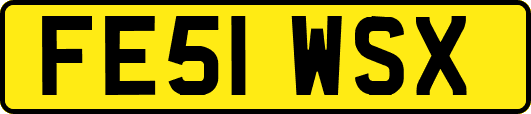 FE51WSX