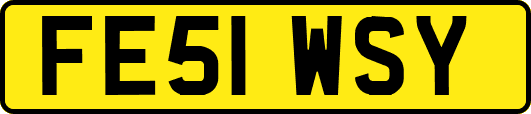 FE51WSY