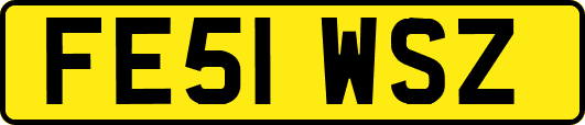 FE51WSZ