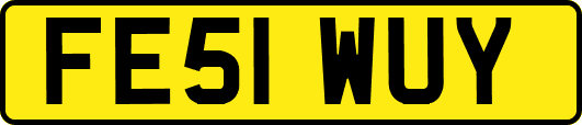 FE51WUY