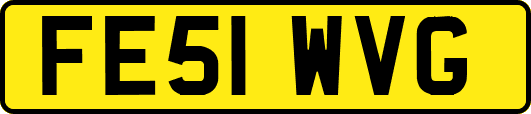 FE51WVG