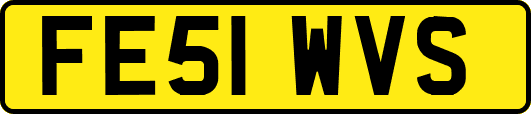 FE51WVS