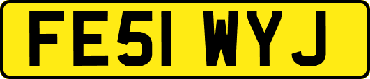 FE51WYJ