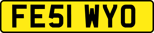 FE51WYO