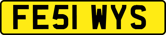 FE51WYS