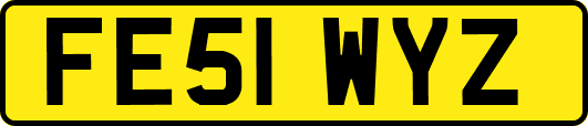 FE51WYZ