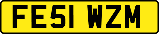 FE51WZM