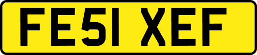 FE51XEF