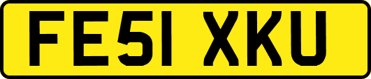 FE51XKU