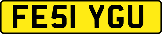 FE51YGU