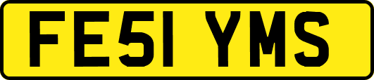 FE51YMS