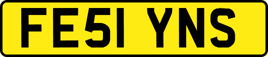 FE51YNS
