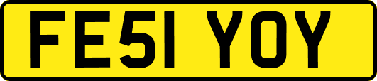 FE51YOY