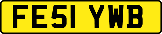 FE51YWB