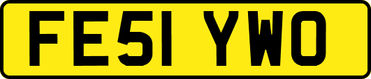 FE51YWO