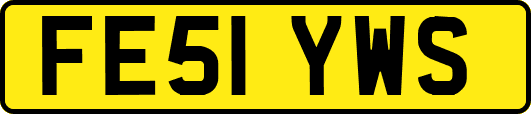 FE51YWS