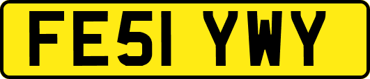 FE51YWY