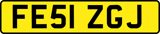 FE51ZGJ