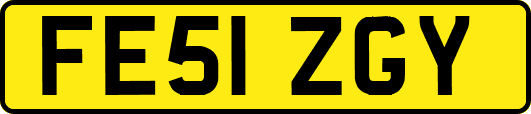FE51ZGY