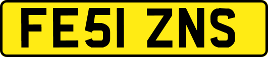 FE51ZNS