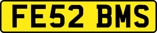 FE52BMS