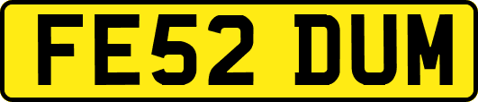 FE52DUM
