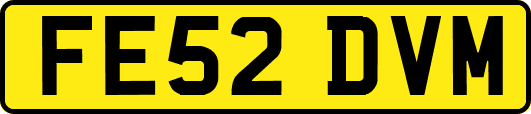 FE52DVM