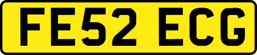 FE52ECG