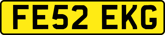 FE52EKG