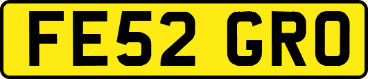 FE52GRO