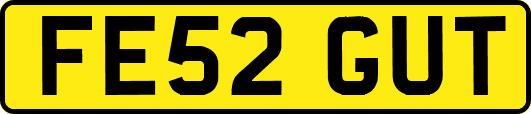 FE52GUT