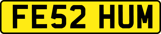 FE52HUM