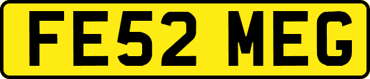 FE52MEG