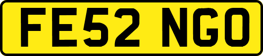 FE52NGO
