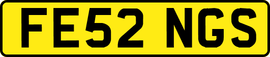 FE52NGS