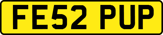 FE52PUP
