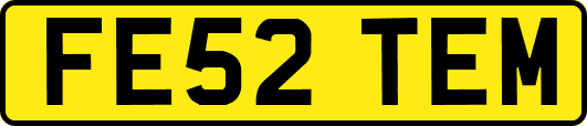 FE52TEM
