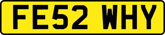FE52WHY
