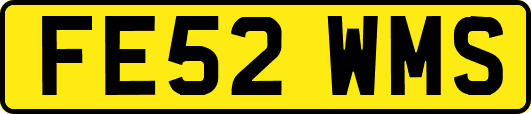 FE52WMS