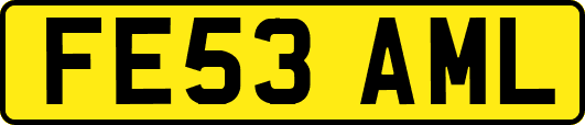 FE53AML