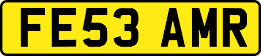 FE53AMR