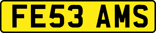 FE53AMS